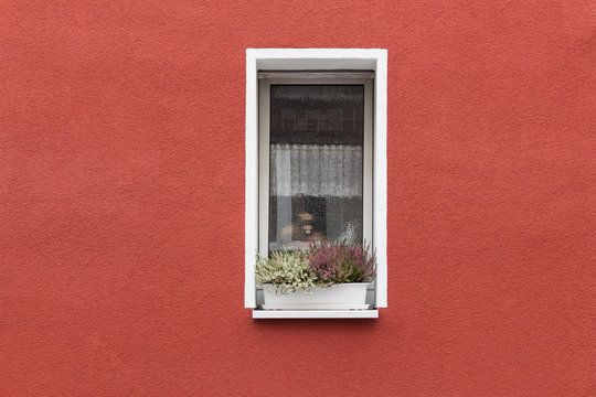 Flowers in small window within red wall