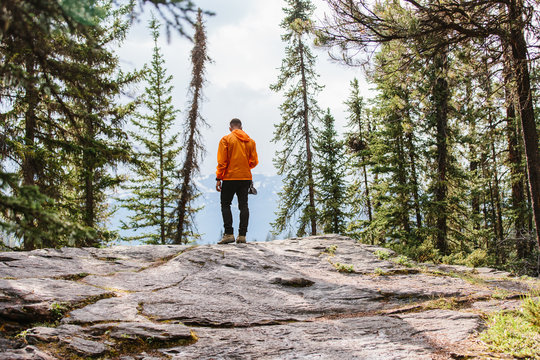 A man standing at the edge of a cliff in the middle of the forest