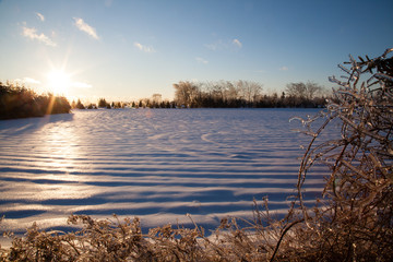 Snowy field after an Ice storm, at Sunrise