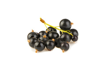 A branch of black currant on a white background