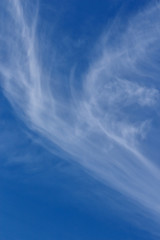 Fototapeta na wymiar Cirrus clouds.