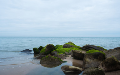 Ostseeküste am Strand mit Steinen überzogen mit Moos
