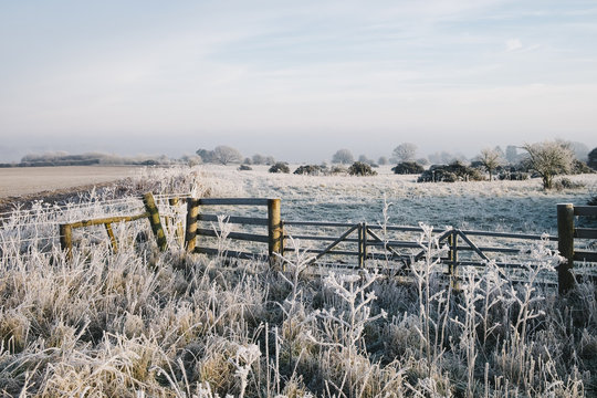 Rural scene covered in a thick hoar frost. Norfolk, UK.