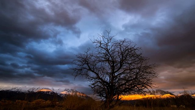 Dramatic time lapse sunset as sky goes dark with a single tree