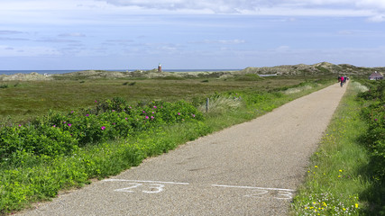 Radweg durch die Dünenlandschaft bei Kampen auf der Nordseeinsel Sylt
