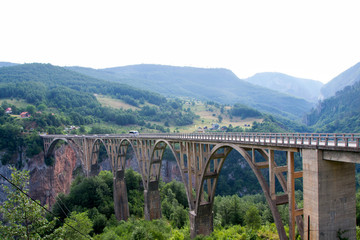An old bridge over the Tara river
