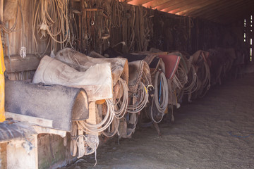 Horse Tack