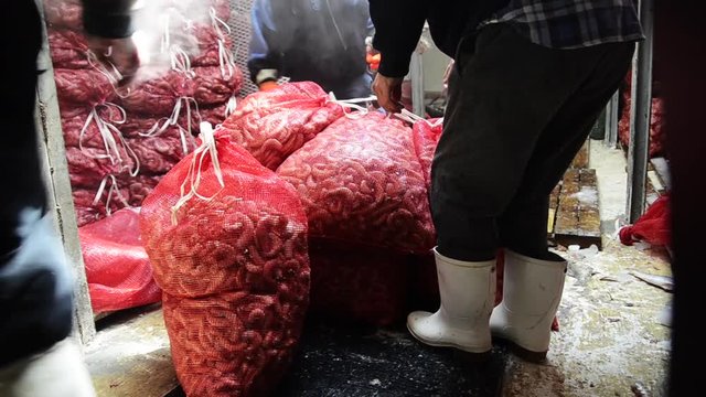 Fishermen move large bags of shrimp on boat