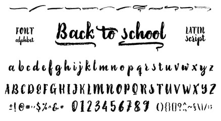 Vector Alphabet. Calligraphic font. Unique Custom Characters. Hand Lettering for Designs - logos, badges, postcards, posters, prints. Modern brush handwriting Typography.