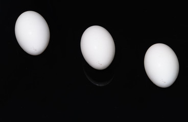 Drei Eier auf schwarzem Hintergrund