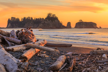 Rialto beach in Olympic National Park at sunset - Powered by Adobe