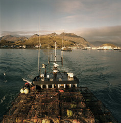 Adult Legends Afloat in Grey main image 1