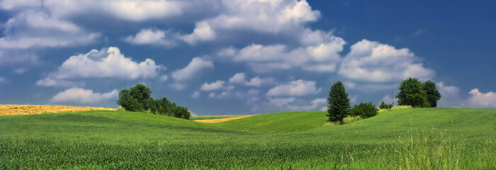 Panorama, landscape with fields, trees, greenery and blue sky with white clouds - classic