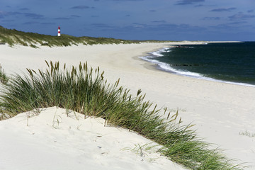 Dünen auf der Nordseeinsel Sylt