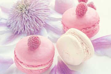 Macaroni with raspberries, marshmallows on a background of beautiful flowers of clematis. Dessert Close-up. Selective focus