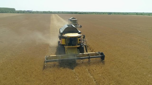 Drone view on a big harvester machines harvesting wheat field
