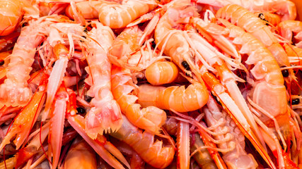 Fish on the fishpond bench