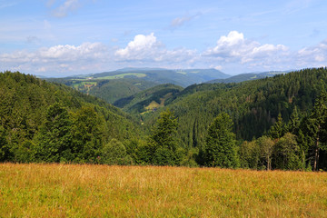 Fototapeta na wymiar Scenic countryside landscape in the Black Forest: green summer mountain valley with forests, fields and old houses in Germany