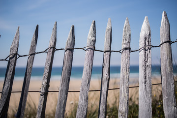 Holzzaun am Strand vor Gras und Himmel