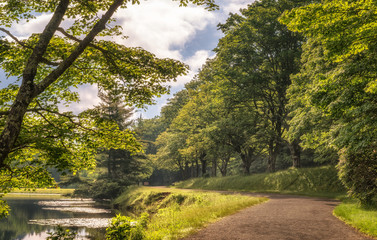Walk along Bass Lake at Cone Manor