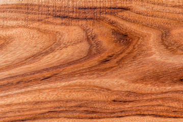 Background, old textured wood, elm, top view copy space