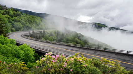 Linn Cove Viaduct in Fog - Grandfather Mountain