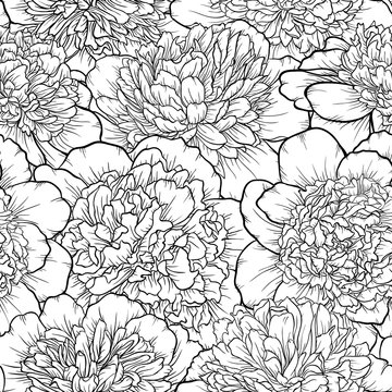 beautiful monochrome black and white seamless background peonies Hand-drawn.
