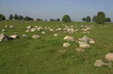 Morena czołowa © Rafa