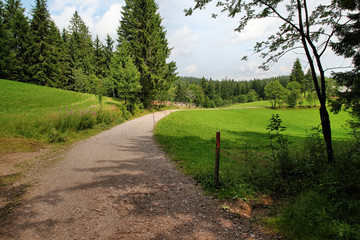 Obraz premium Scenic countryside landscape in the Black Forest: green summer mountain valley with forests, fields and old houses in Germany