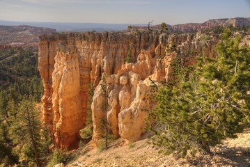 Hoodoos in the Morning Light at Bryce