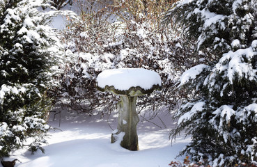 Bird Bath