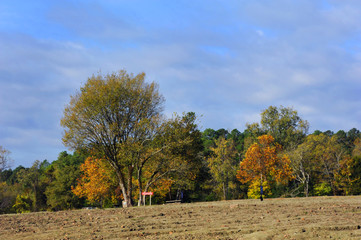 Autumn at Crater of Diamonds State Park
