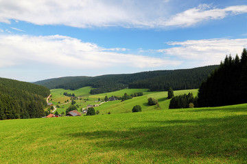 Obraz premium Scenic countryside landscape in the Black Forest: green summer mountain valley with forests, fields and old houses in Germany