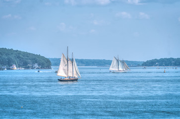 Fototapeta premium Schooners in the bay