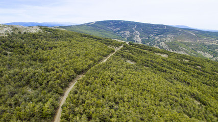 Paisaje de arboleda aérea