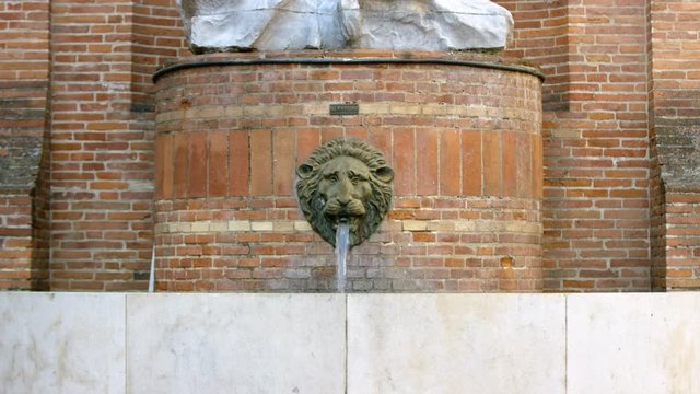 A statue in Toulouse, France, water