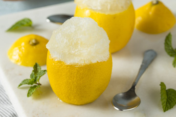 Homemade Yellow Lemon Italian Ice - obrazy, fototapety, plakaty
