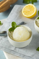 Homemade Yellow Lemon Italian Ice