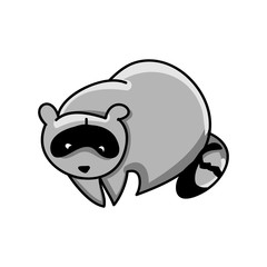 Raccoon on white background, vector illustration