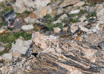 colorado