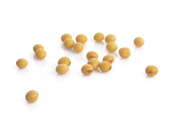 soybean isolated on white background