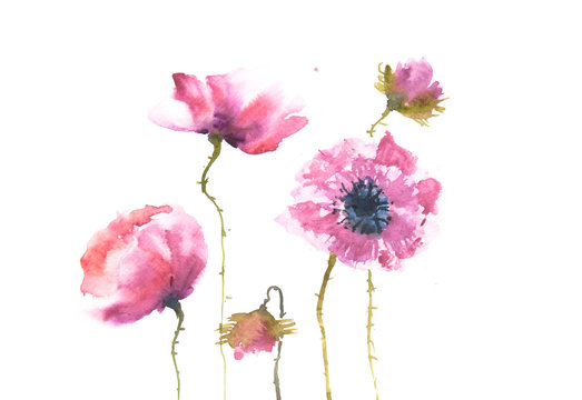 Modern poppy flower painting, floral art, watercolor painting, can be used for home decortae