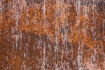 Rusty metal door texture