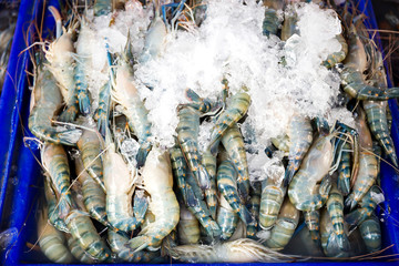 Shrimp in the fresh market