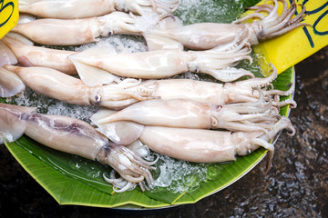 Fresh group of squid in seafood market