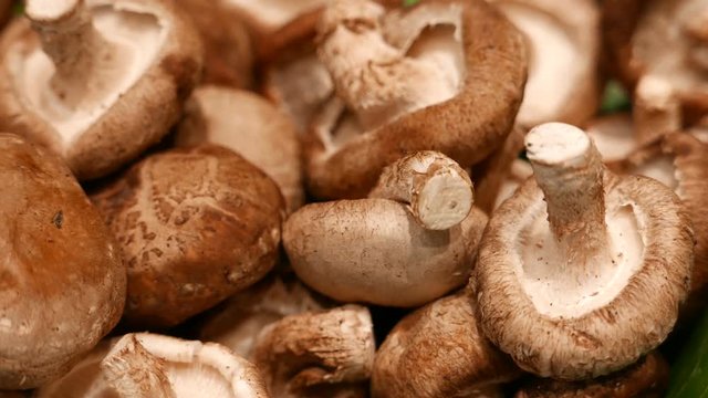fresh Shiitake mushroom in stall at supermarket