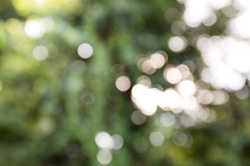 Obraz premium Abstract nature background