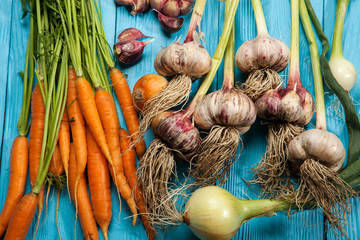 Fresh carrots, garlic and onions on a blue background