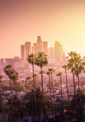 Prachtige zonsondergang van de skyline van het centrum van Los Angeles en palmbomen op de voorgrond