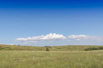 Obraz premium Yellow-green hill and sky with clouds. Wild grasses.